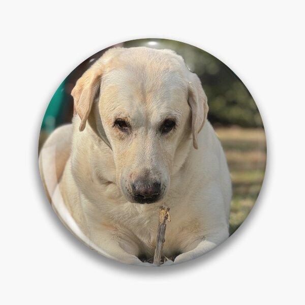 Item preview, Ooo stick designed and sold by Wolfie-Rose.