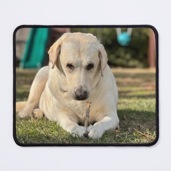 Item preview, Ooo stick designed and sold by Wolfie-Rose.