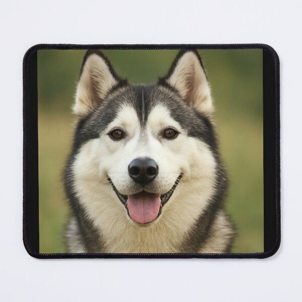 Item preview, Siberian Husky Dog designed and sold by BackgroundND.