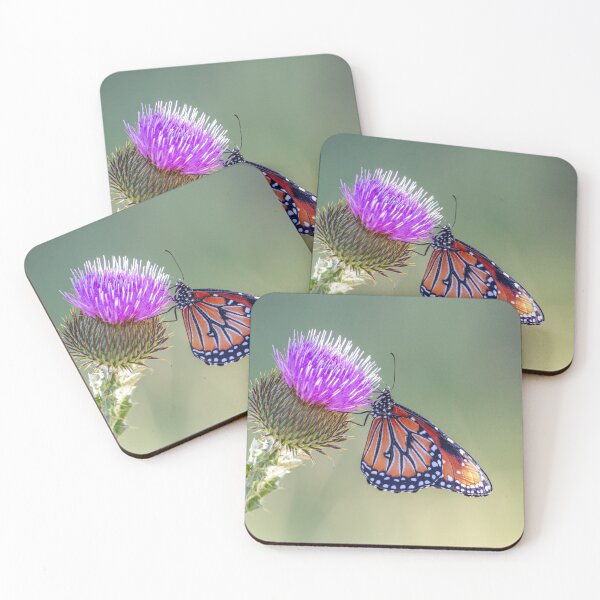 Item preview, Queen Butterfly on a Purple Blessed Milkthistle designed and sold by Peter Milota Studio.
