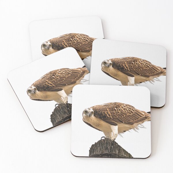 Item preview, Perch of Authority designed and sold by Jan Fijolek.