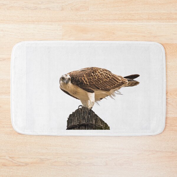 Item preview, Perch of Authority designed and sold by Jan Fijolek.