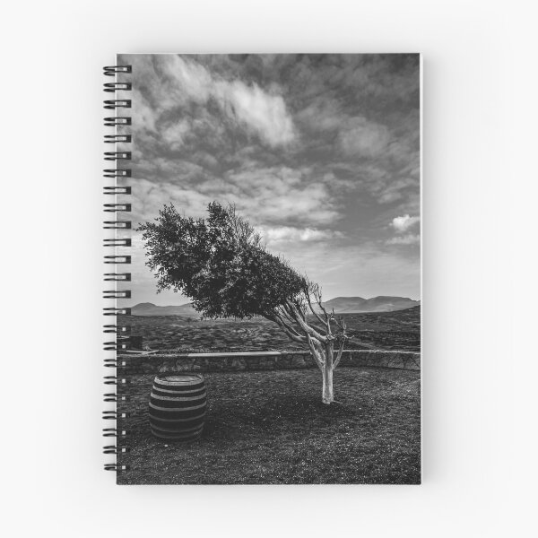 Item preview, Tree shaped by the wind, Lanzarote designed and sold by A-Cases.