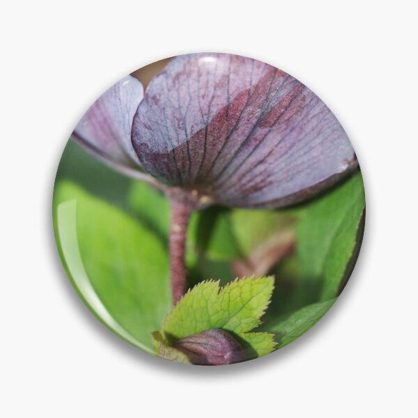 Item preview, Hellbore Flower and Bud designed and sold by Michaela Perryman.