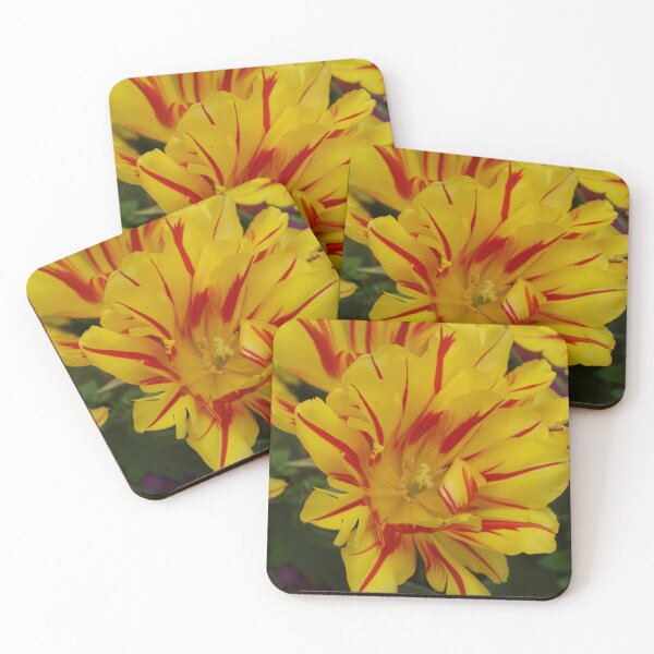Item preview, Yellow and Red Striped Tulip designed and sold by Michaela Perryman.