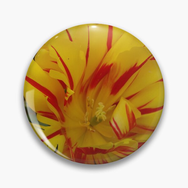 Item preview, Yellow and Red Striped Tulip designed and sold by Michaela Perryman.