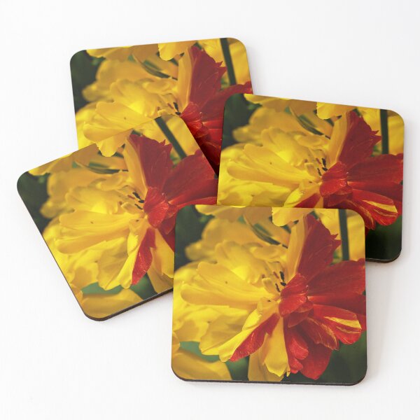 Item preview, Bi-Coloured Tulip designed and sold by Michaela Perryman.