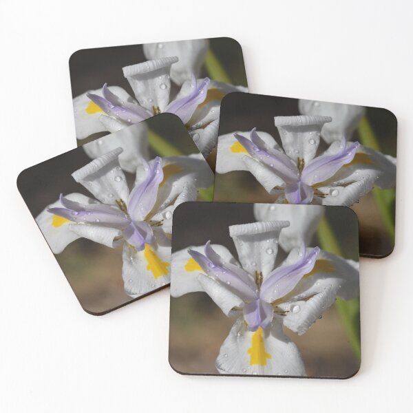 Item preview, Dietes with Waterdrops designed and sold by Michaela Perryman.