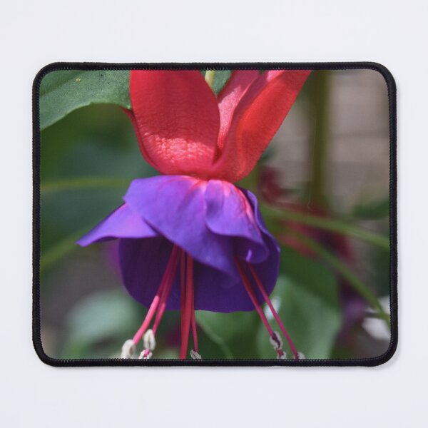Item preview, Fuschia with Purple Skirt designed and sold by Michaela Perryman.