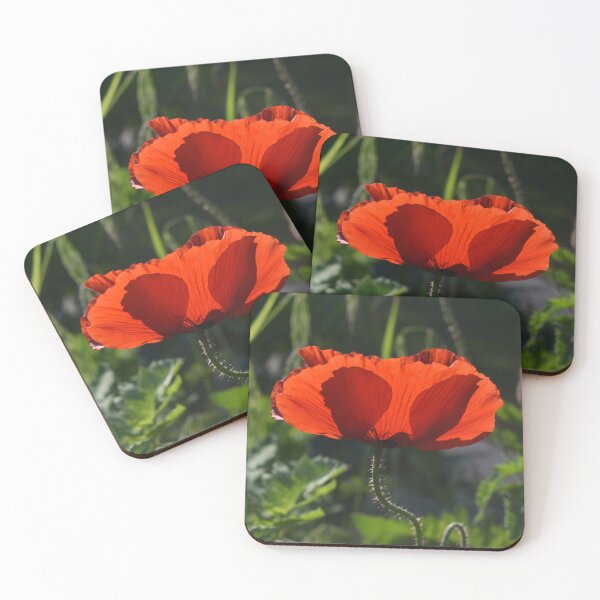 Item preview, Red Poppy for Remembrance designed and sold by Michaela Perryman.