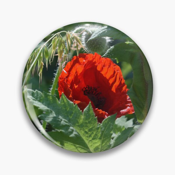 Item preview, A Pretty Red Poppy and Green Foliage designed and sold by Michaela Perryman.