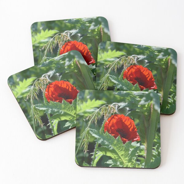 Item preview, A Pretty Red Poppy and Green Foliage designed and sold by Michaela Perryman.