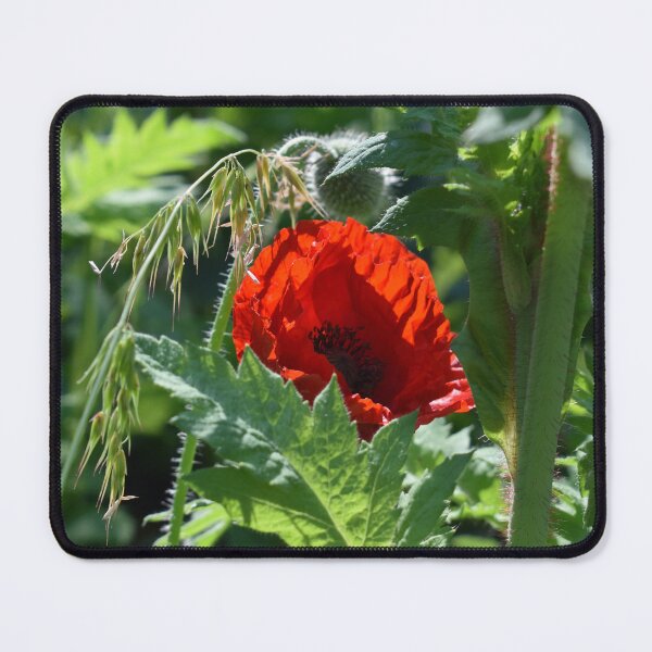 Item preview, A Pretty Red Poppy and Green Foliage designed and sold by Michaela Perryman.
