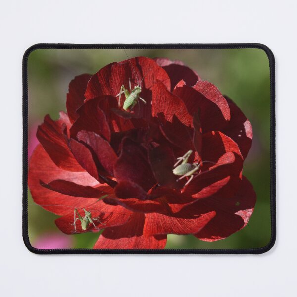 Item preview, Red Rununculas and Green Grasshoppers designed and sold by Michaela Perryman.