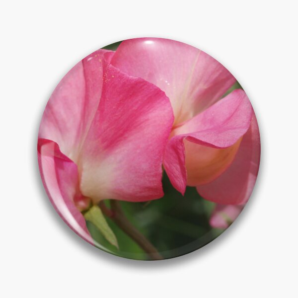 Item preview, Pink Sweet Peas designed and sold by Michaela Perryman.