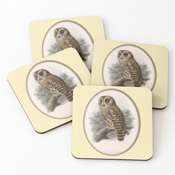 Item preview, Frederick DuCane Godman: Guatemalan Barred Owl Print designed and sold by Tridentulus.
