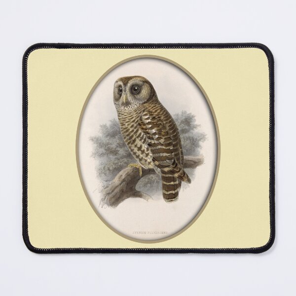 Item preview, Frederick DuCane Godman: Guatemalan Barred Owl Print designed and sold by Tridentulus.
