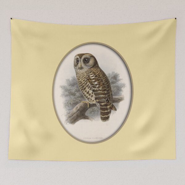 Item preview, Frederick DuCane Godman: Guatemalan Barred Owl Print designed and sold by Tridentulus.