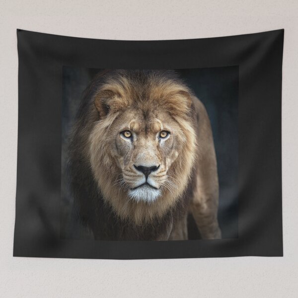 Item preview, Majestic Lion Staring Intently designed and sold by Savannah Gibbs.