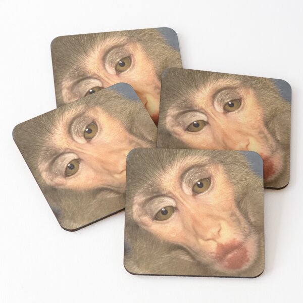 Item preview, makeup monkey designed and sold by monkey zone.