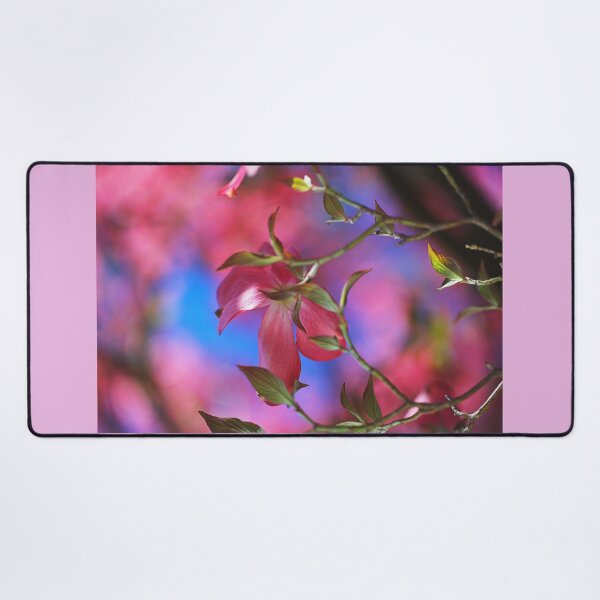 Item preview, Elegant Dogwood Flowers on The Branch designed and sold by Joy Watson - Natural Light Photography .