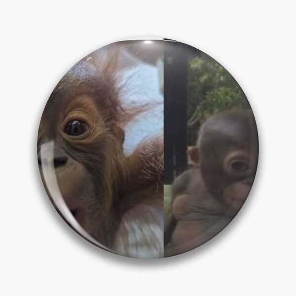 Item preview, I have two sides (crazay and non-chalant)  designed and sold by monkey zone.