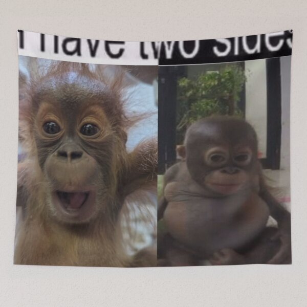 Item preview, I have two sides (crazay and non-chalant)  designed and sold by monkey zone.