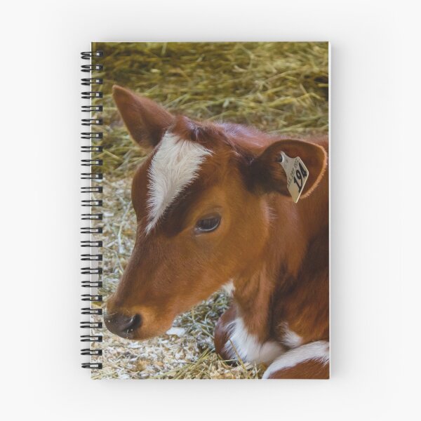 Item preview, A cow in a stable designed and sold by Production Art Manon Meilleur.