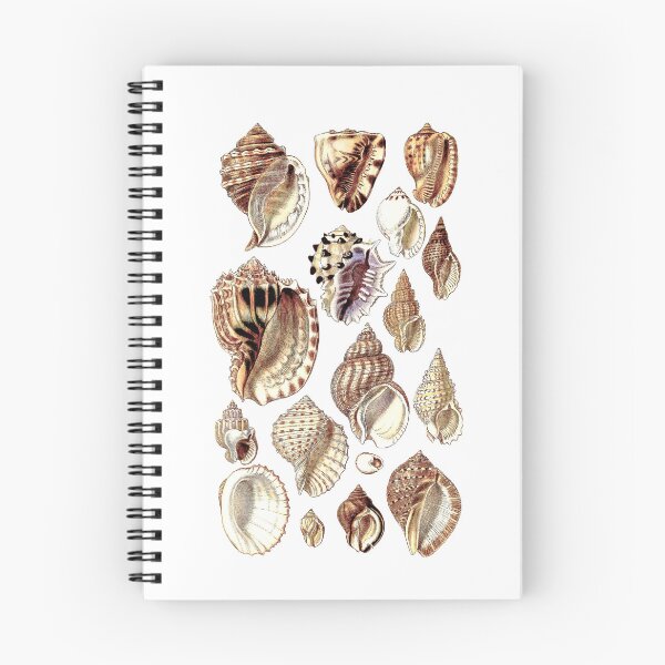 Item preview, Shells designed and sold by vintagepixs.
