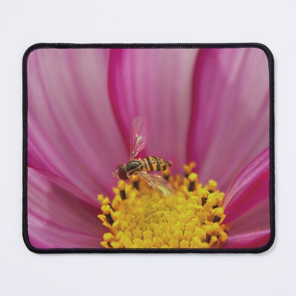 Item preview, Hoverflies on a pink cosmos flower designed and sold by Production Art Manon Meilleur.