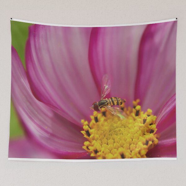 Item preview, Hoverflies on a pink cosmos flower designed and sold by Production Art Manon Meilleur.