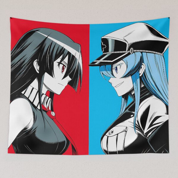 Item preview, Akame & Esdeath - 2 designed and sold by Infinite-Aspire.
