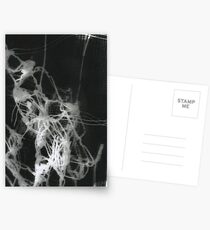 Photogram Postcards