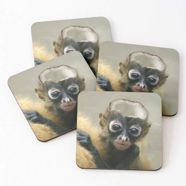 Item preview, coconut monkey designed and sold by monkey zone.