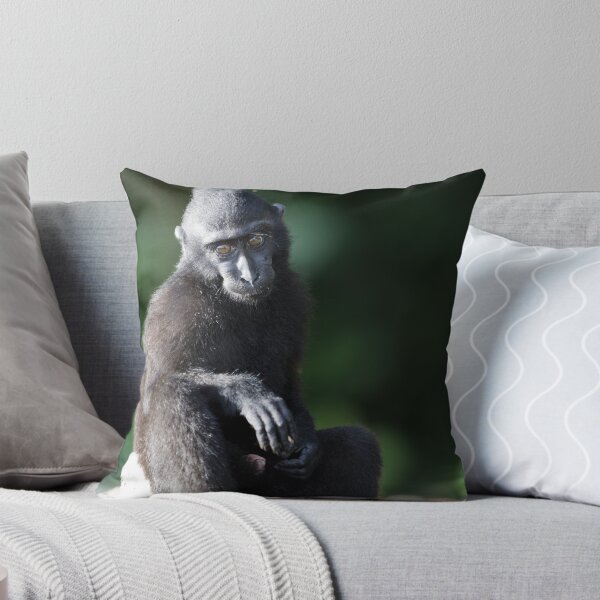 Item preview, Celebes crested macaque designed and sold by Jeremy Weiss.