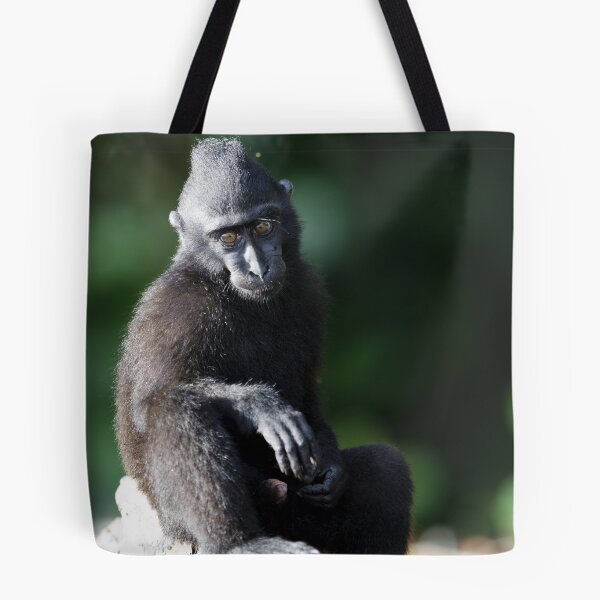 Item preview, Celebes crested macaque designed and sold by Jeremy Weiss.