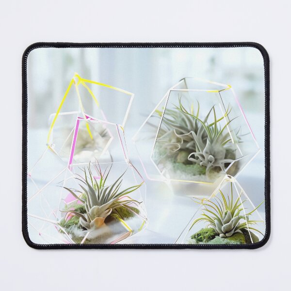 Item preview, Terrarium Geometry designed and sold by ONYX Pixee.