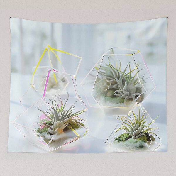 Item preview, Terrarium Geometry designed and sold by ONYX Pixee.