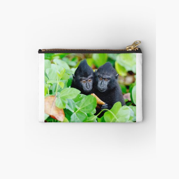 Item preview, Celebes crested macaques designed and sold by Jeremy Weiss.