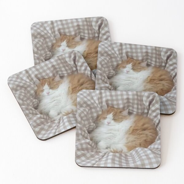 Item preview, cozy kitty designed and sold by monkey zone.