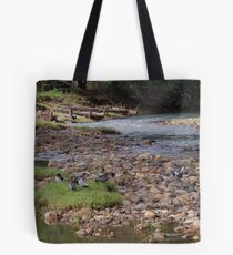 Odd one Tote Bag