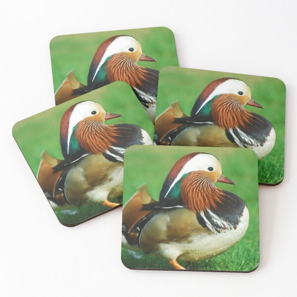 Item preview, Male mandarin duck designed and sold by wagtails.art.