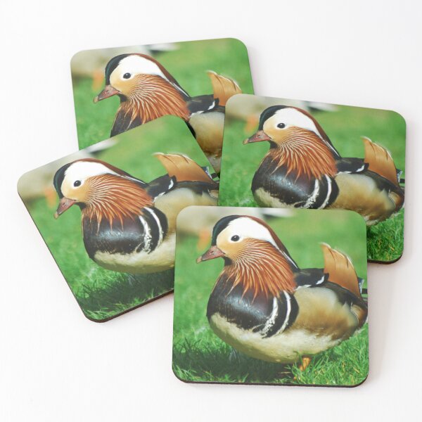 Item preview, Male mandarin duck designed and sold by wagtails.art.
