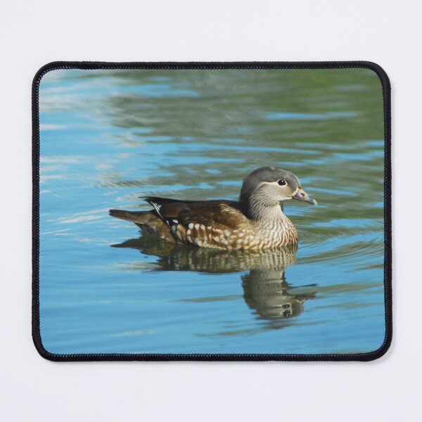 Item preview, Female mandarin duck designed and sold by wagtails.art.