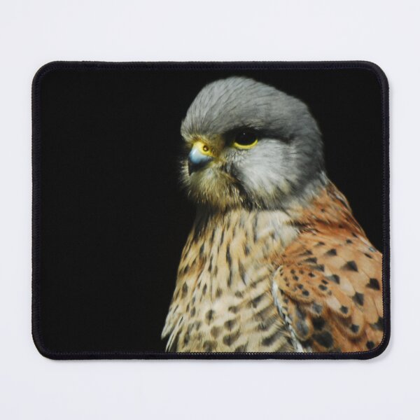 Item preview, Kestrel designed and sold by wagtails.art.