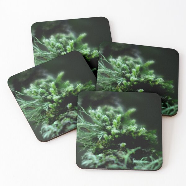 Item preview, Strange blossoms designed and sold by wagtails.art.