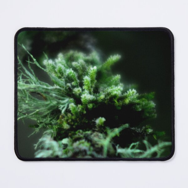 Item preview, Strange blossoms designed and sold by wagtails.art.