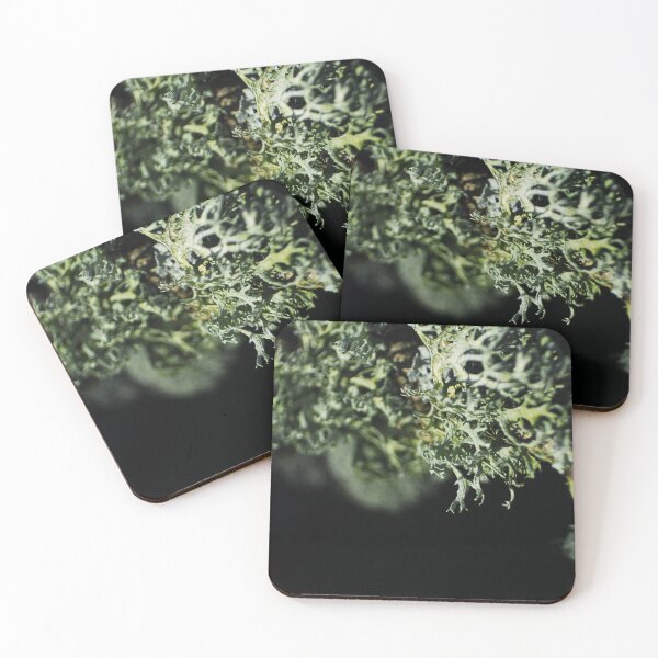 Item preview, Strange blossoms designed and sold by wagtails.art.