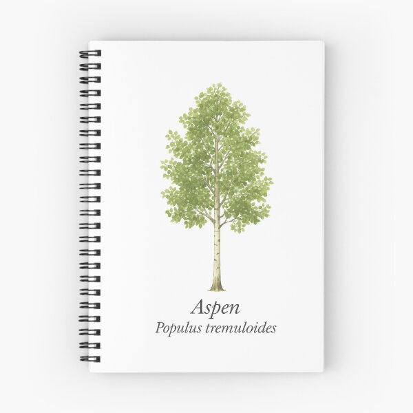 Item preview, Aspen – Populus tremuloides designed and sold by BloomKind.