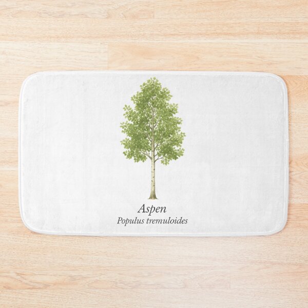 Item preview, Aspen – Populus tremuloides designed and sold by BloomKind.